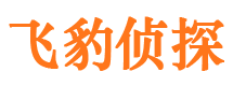 和田市私家侦探